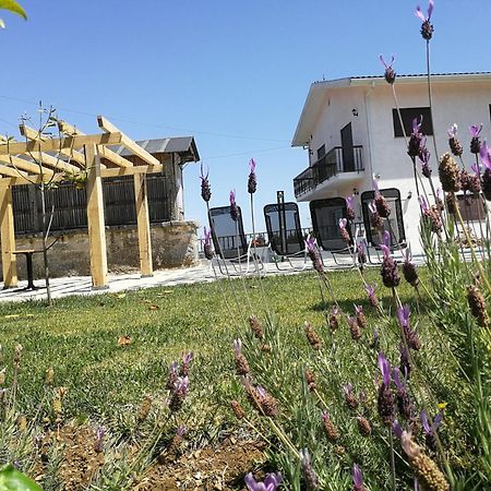 Abrigo Das Andorinhas Aveiro Ngoại thất bức ảnh