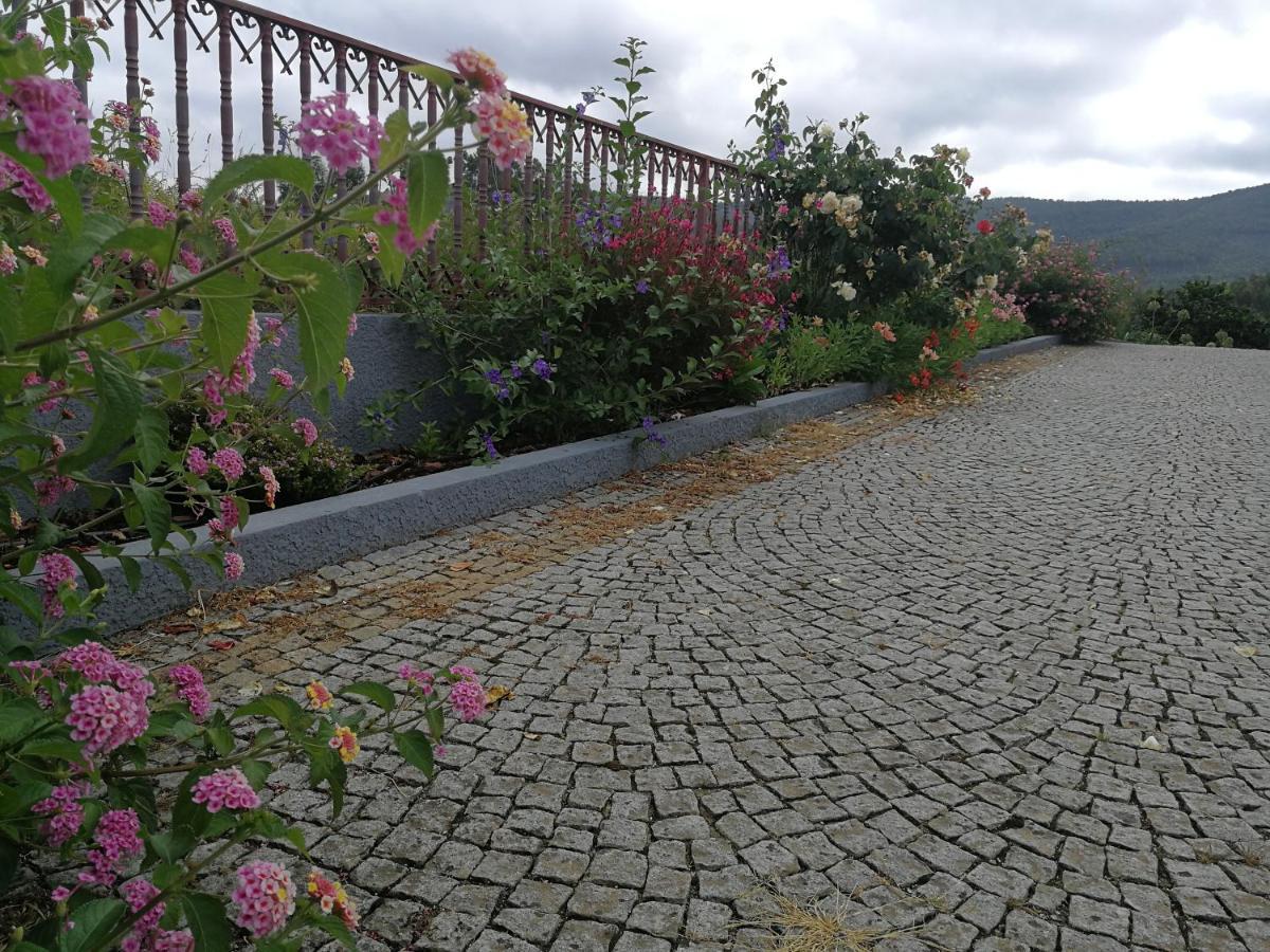 Abrigo Das Andorinhas Aveiro Ngoại thất bức ảnh