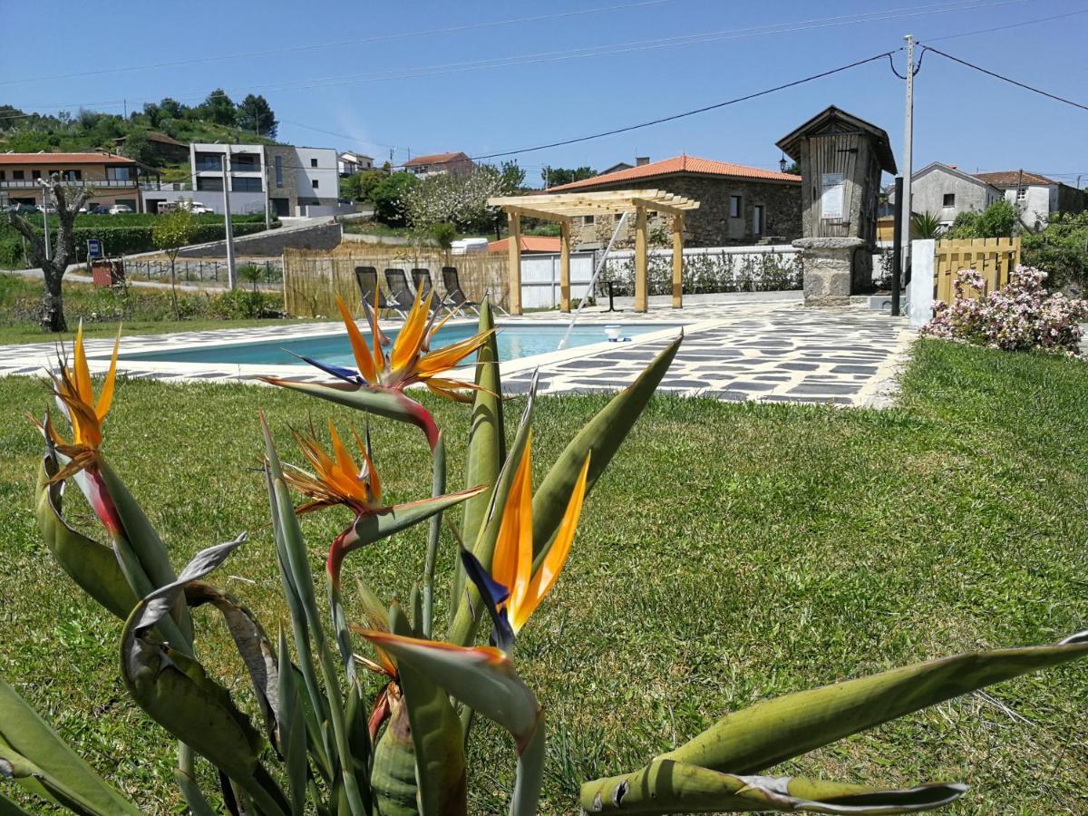 Abrigo Das Andorinhas Aveiro Ngoại thất bức ảnh