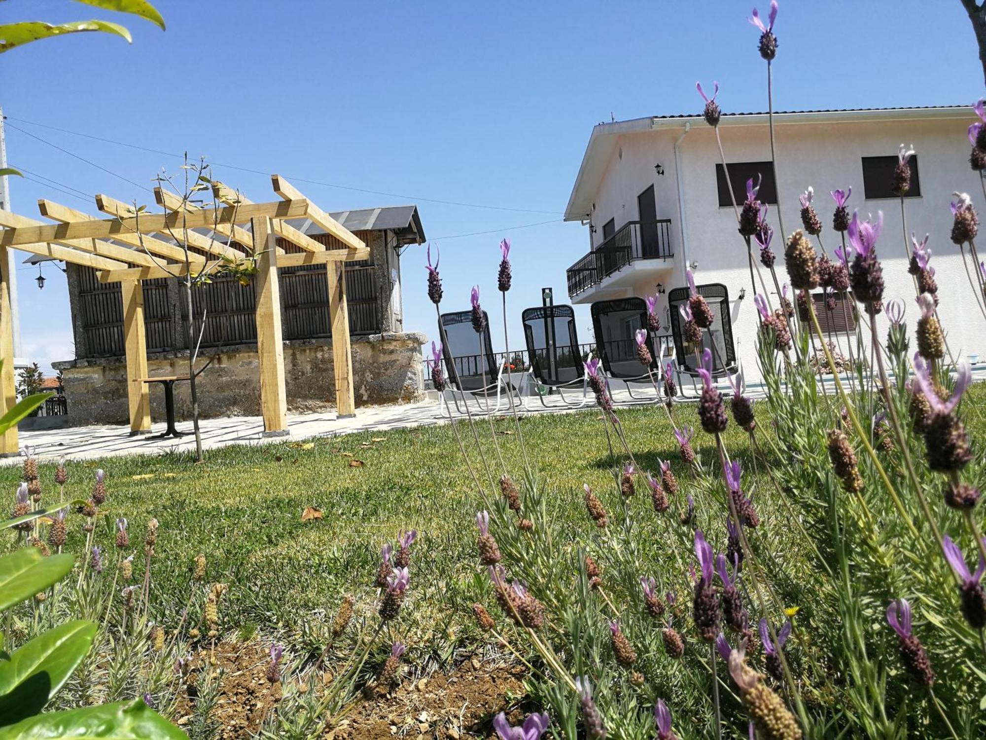 Abrigo Das Andorinhas Aveiro Ngoại thất bức ảnh